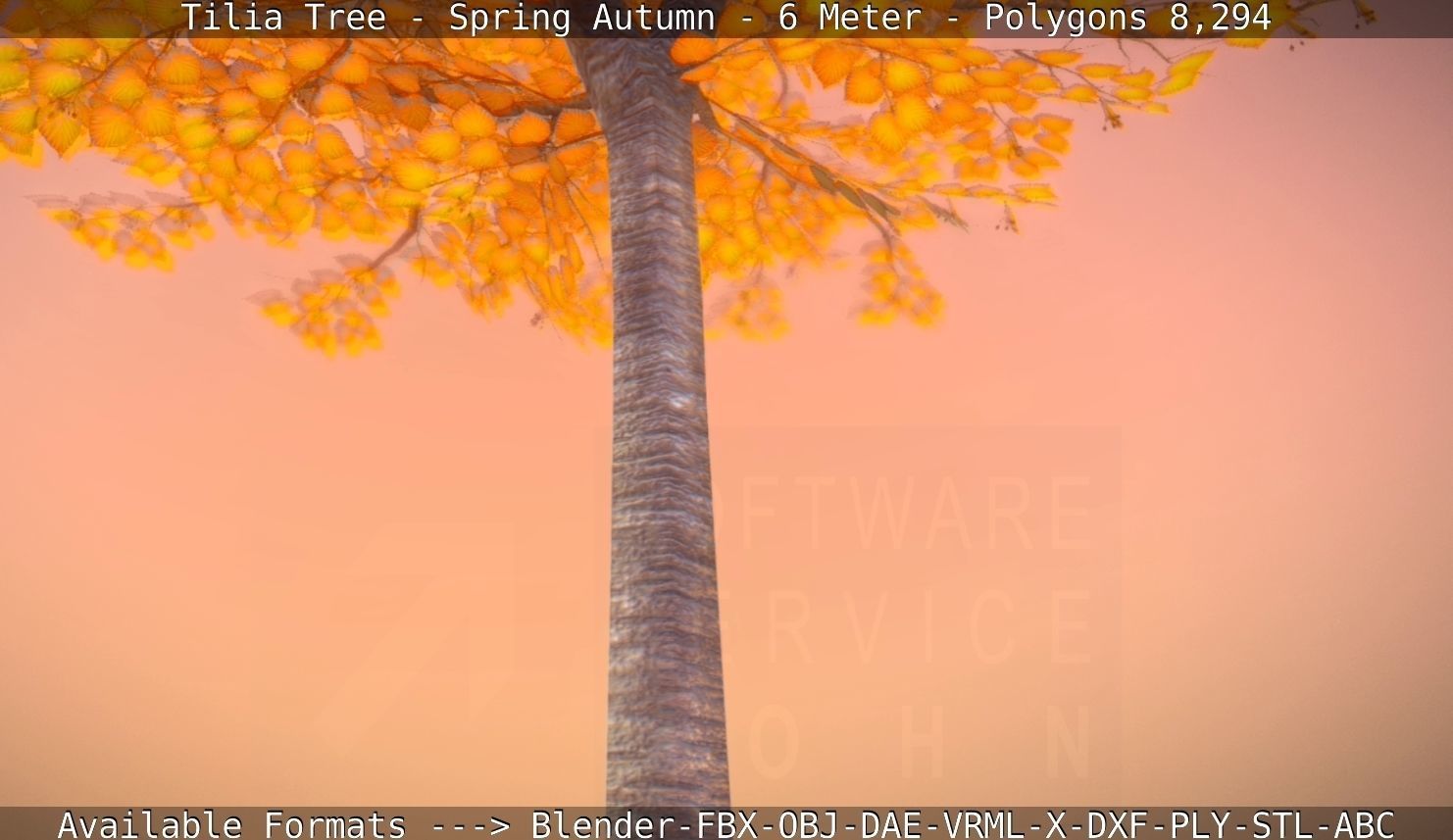 Tilia Tree - 6 Meter - Autumn  Low-poly 3D model_80