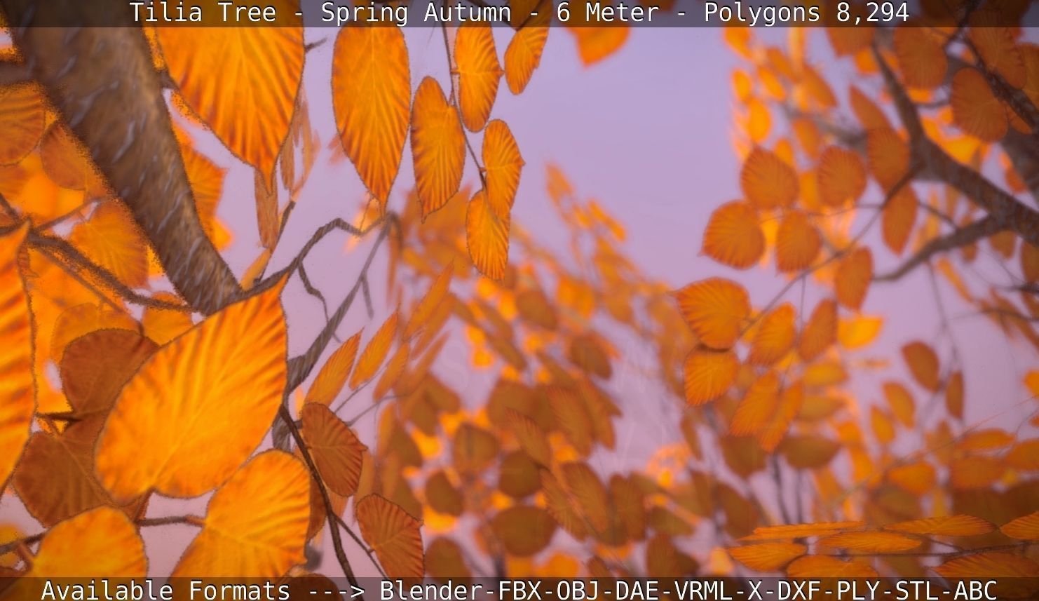 Tilia Tree - 6 Meter - Autumn  Low-poly 3D model_13