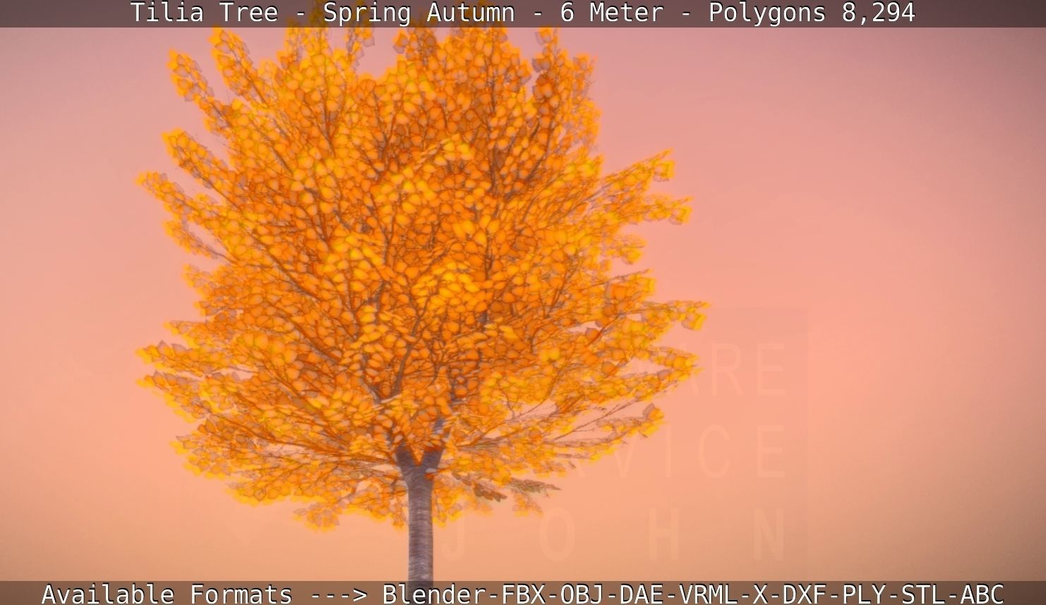 Tilia Tree - 6 Meter - Autumn  Low-poly 3D model_41