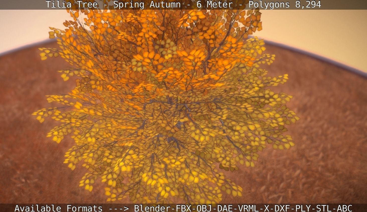 Tilia Tree - 6 Meter - Autumn  Low-poly 3D model_115