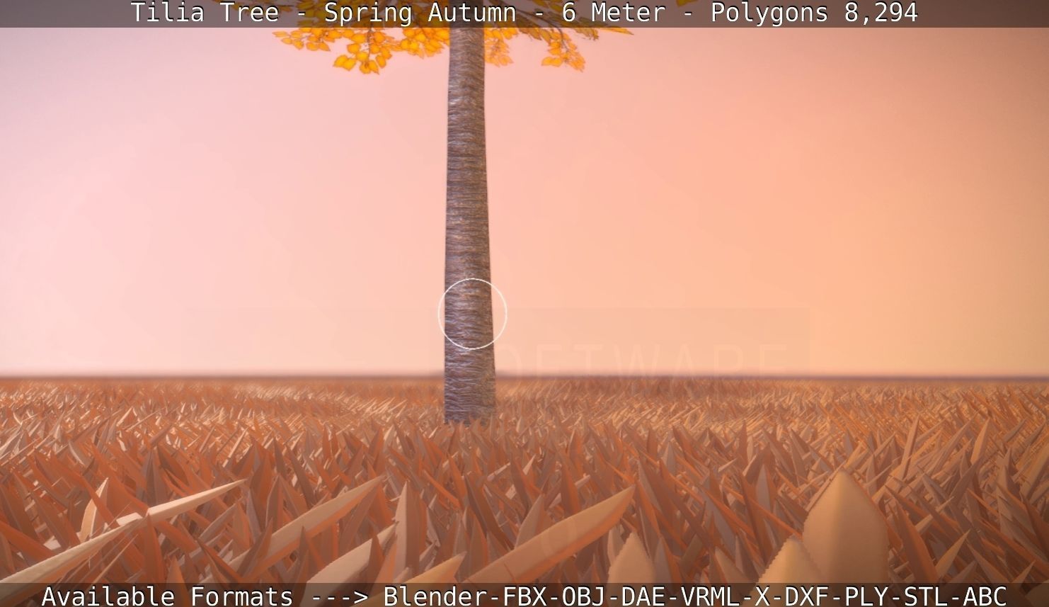 Tilia Tree - 6 Meter - Autumn  Low-poly 3D model_99