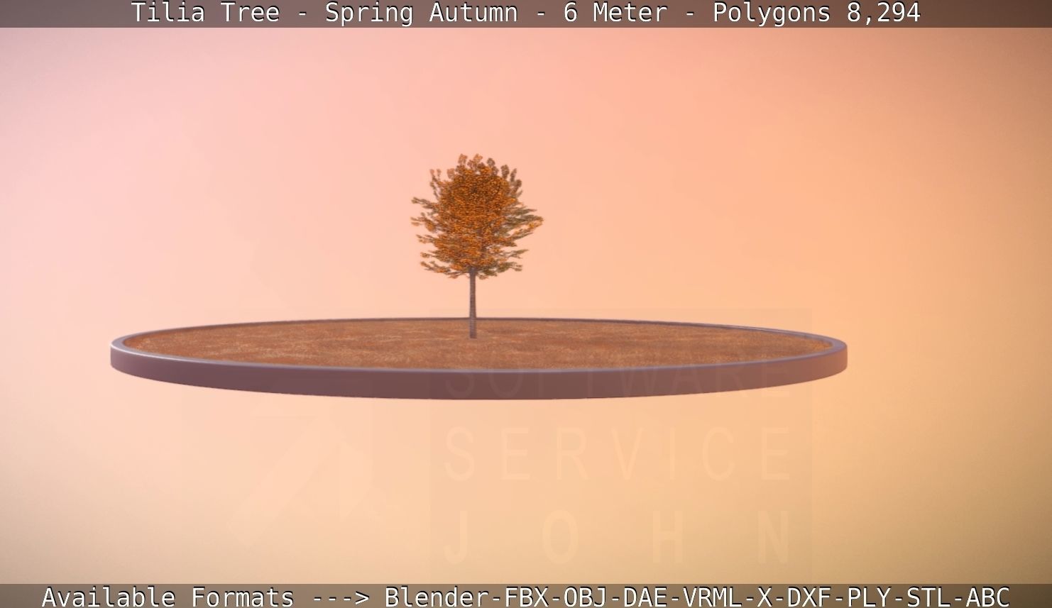 Tilia Tree - 6 Meter - Autumn  Low-poly 3D model_8