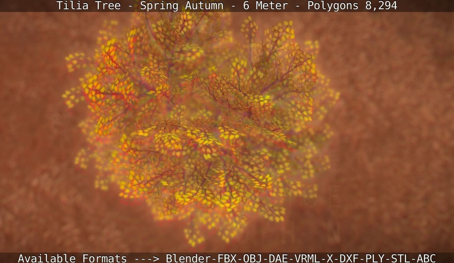 Tilia Tree - 6 Meter - Autumn  Low-poly 3D model_12