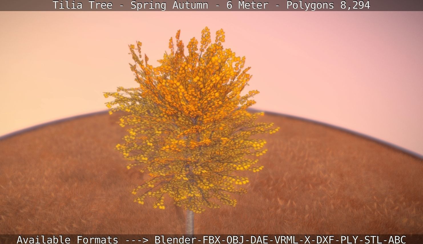 Tilia Tree - 6 Meter - Autumn  Low-poly 3D model_30