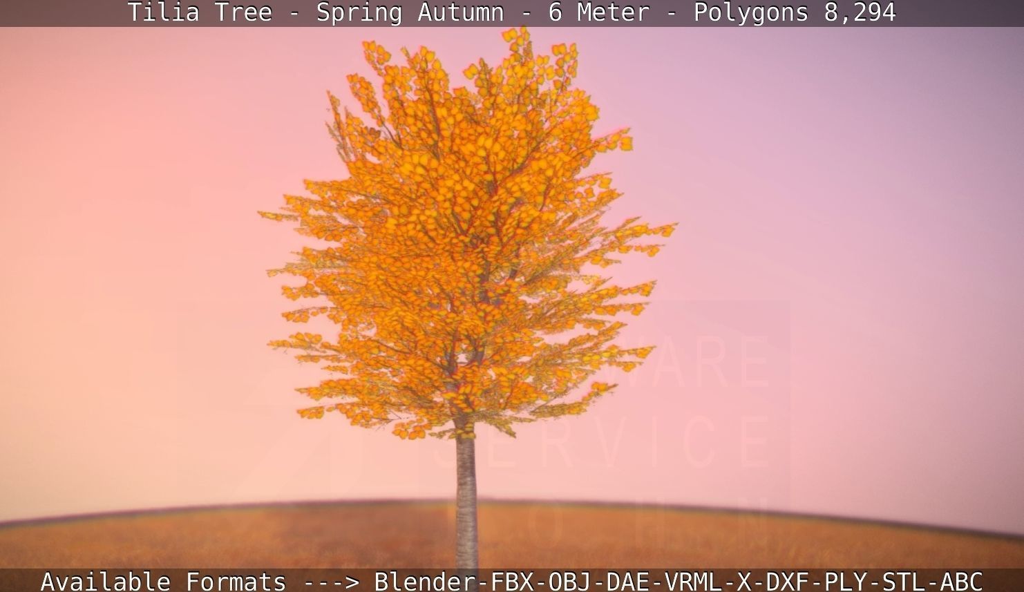 Tilia Tree - 6 Meter - Autumn  Low-poly 3D model_28