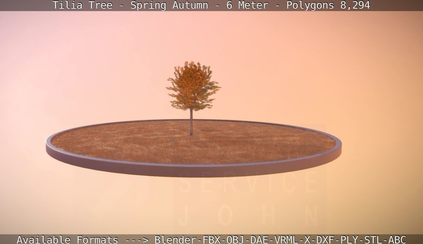 Tilia Tree - 6 Meter - Autumn  Low-poly 3D model_63