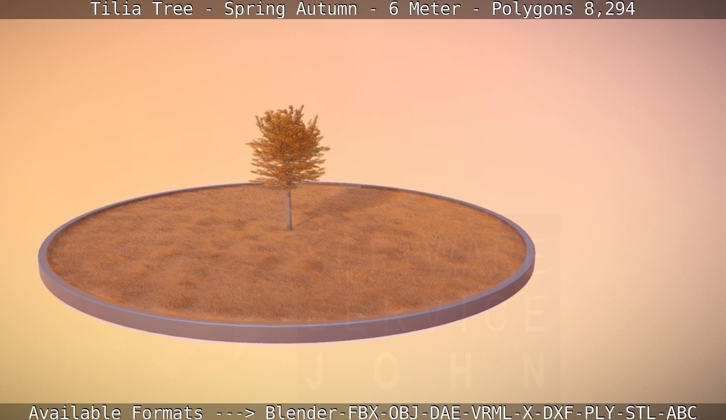 Tilia Tree - 6 Meter - Autumn  Low-poly 3D model_64