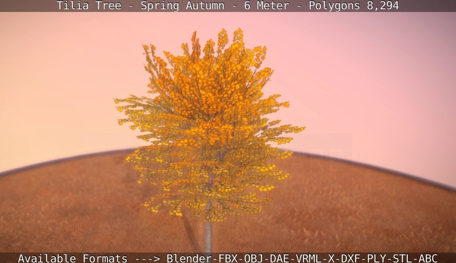 Tilia Tree - 6 Meter - Autumn  Low-poly 3D model_26