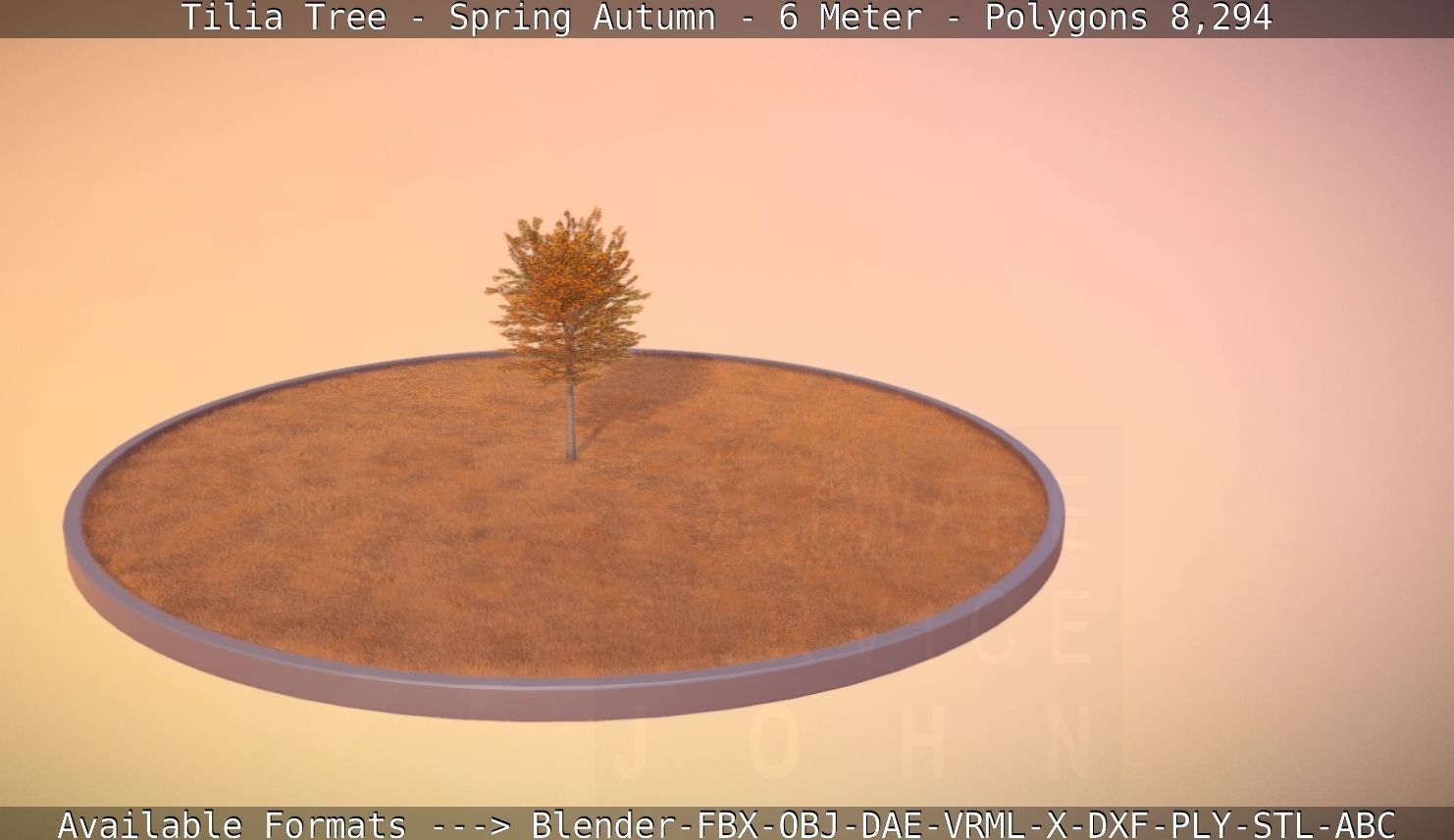 Tilia Tree - 6 Meter - Autumn  Low-poly 3D model_71
