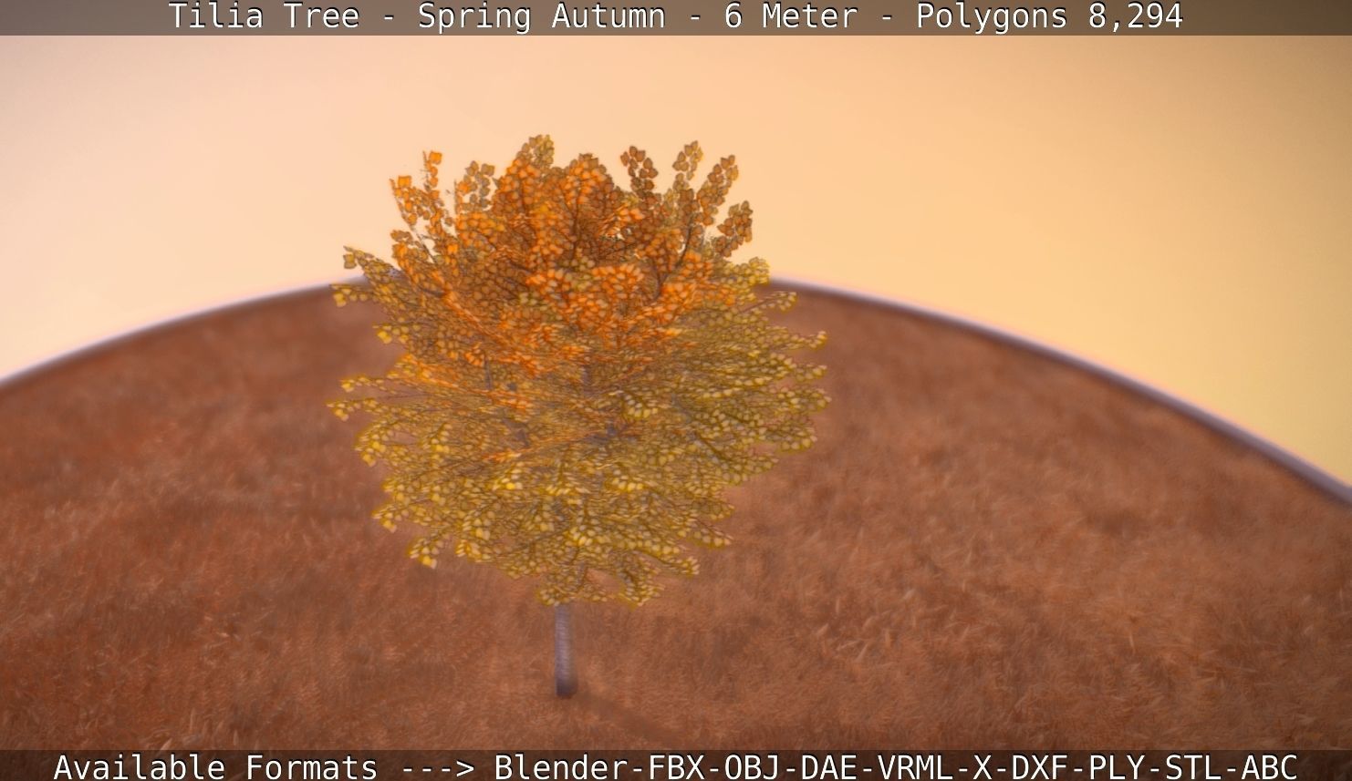Tilia Tree - 6 Meter - Autumn  Low-poly 3D model_50