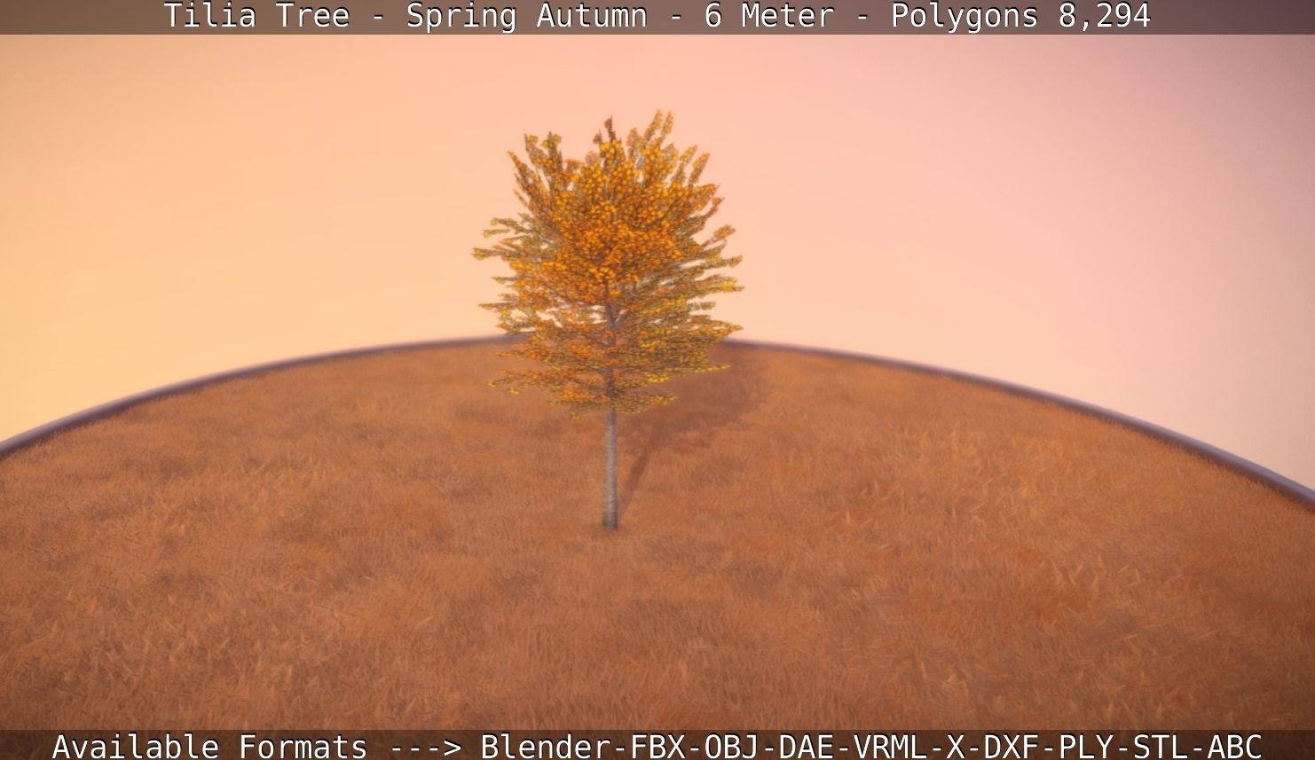 Tilia Tree - 6 Meter - Autumn  Low-poly 3D model_70