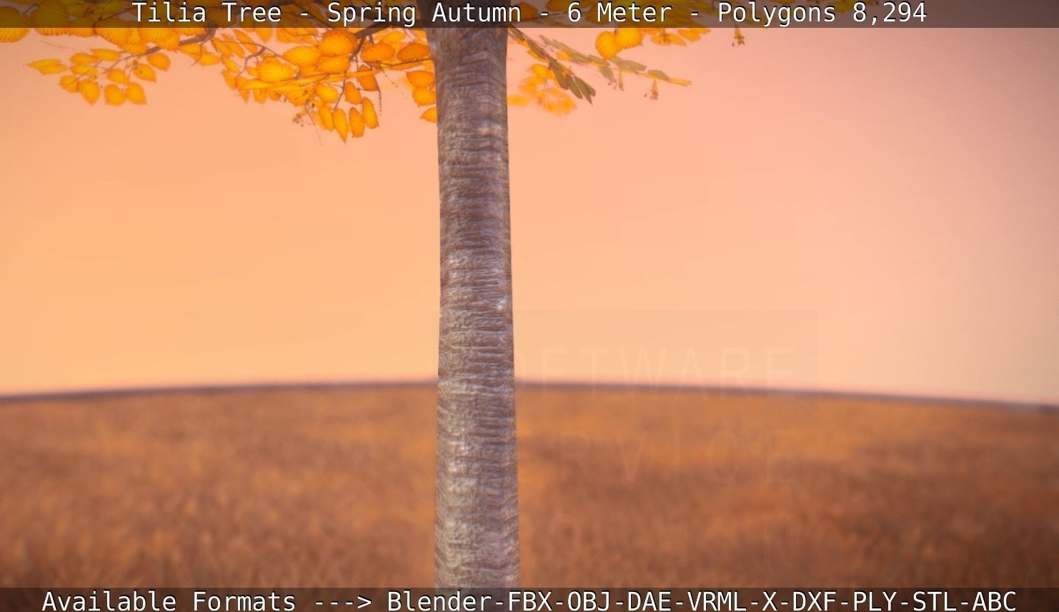 Tilia Tree - 6 Meter - Autumn  Low-poly 3D model_79