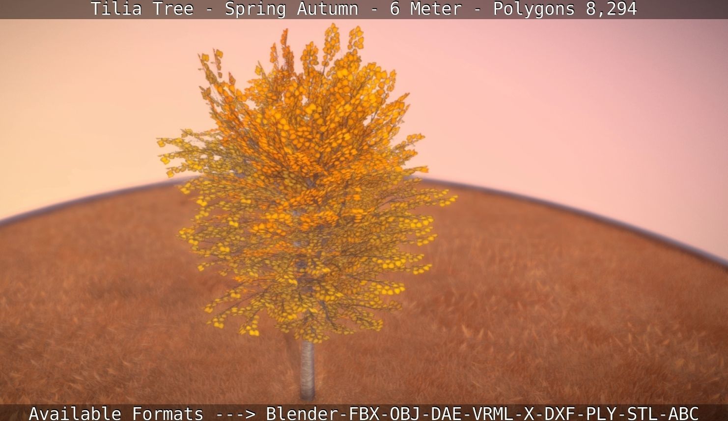 Tilia Tree - 6 Meter - Autumn  Low-poly 3D model_24