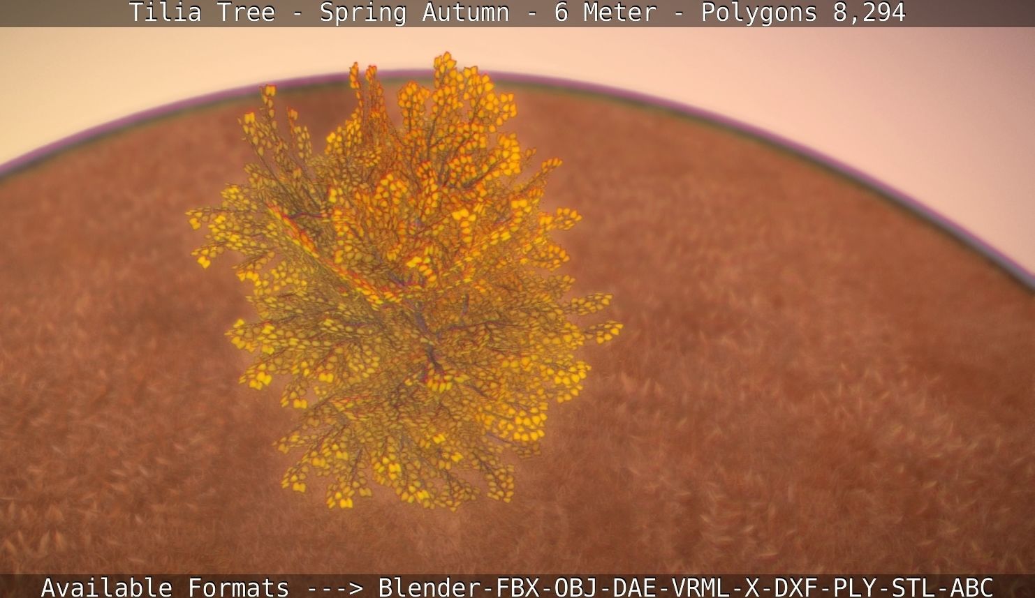 Tilia Tree - 6 Meter - Autumn  Low-poly 3D model_25