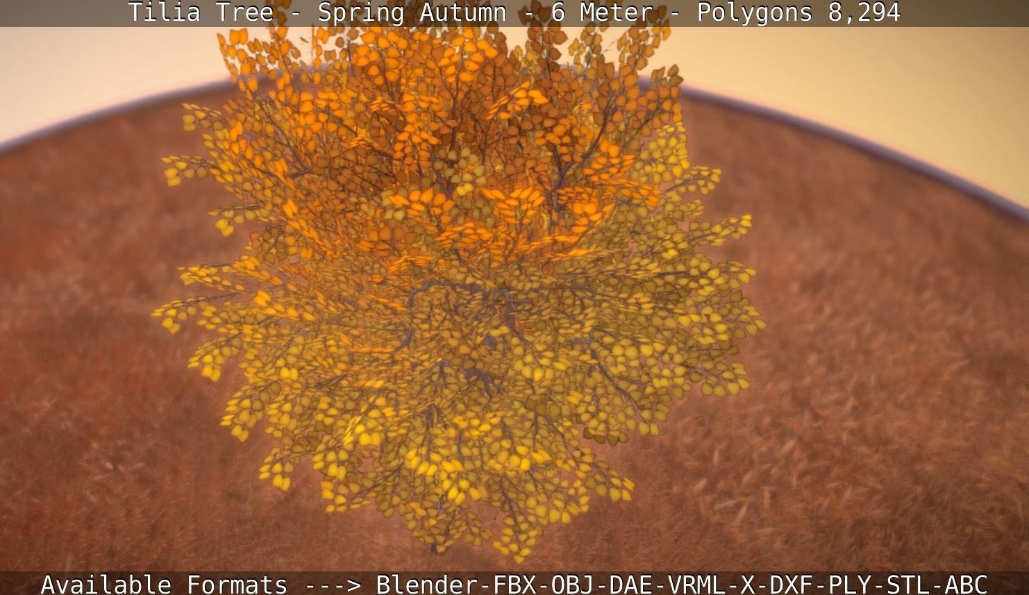 Tilia Tree - 6 Meter - Autumn  Low-poly 3D model_113