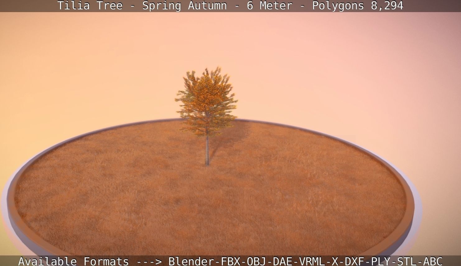 Tilia Tree - 6 Meter - Autumn  Low-poly 3D model_68