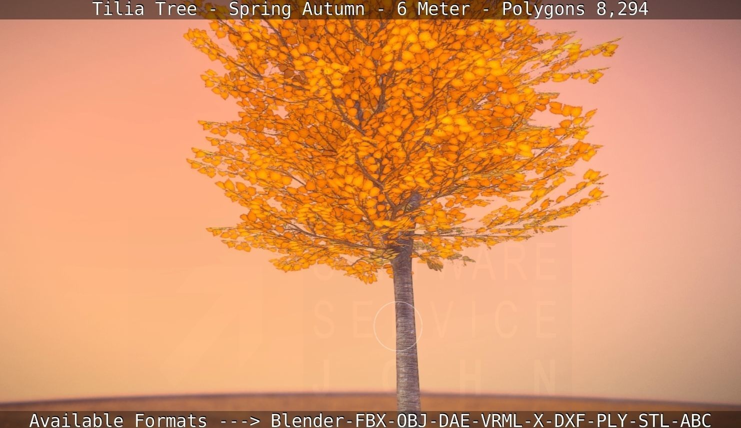 Tilia Tree - 6 Meter - Autumn  Low-poly 3D model_77