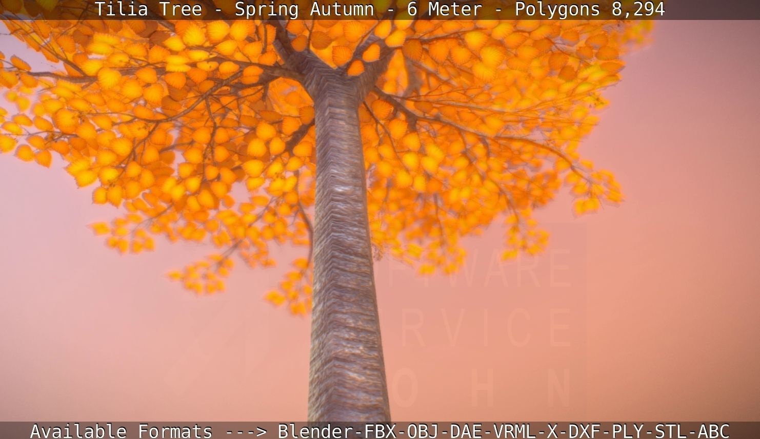 Tilia Tree - 6 Meter - Autumn  Low-poly 3D model_89