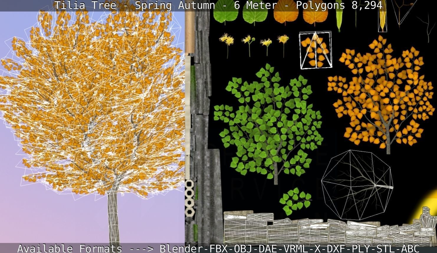 Tilia Tree - 6 Meter - Autumn  Low-poly 3D model_2