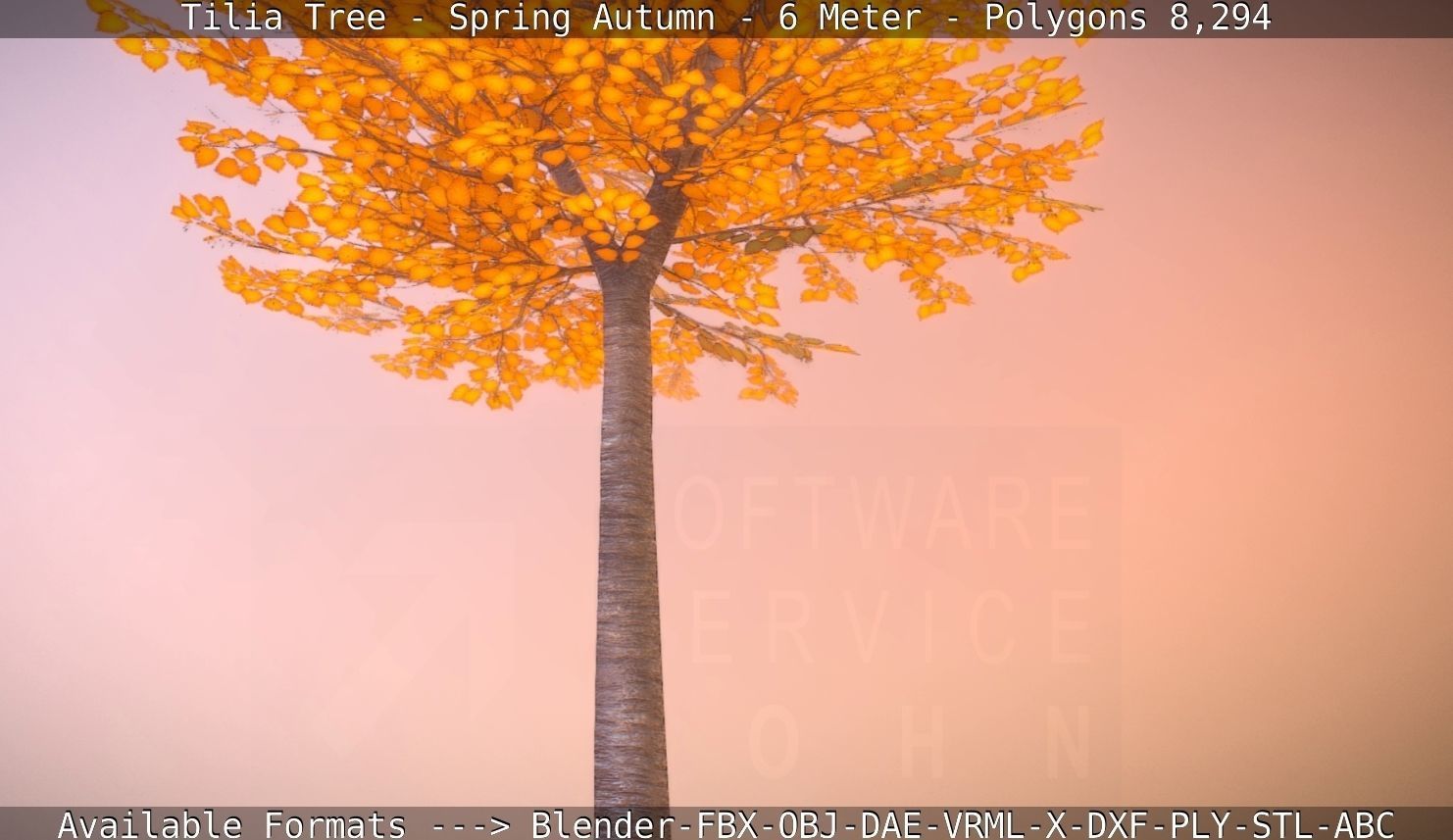 Tilia Tree - 6 Meter - Autumn  Low-poly 3D model_4