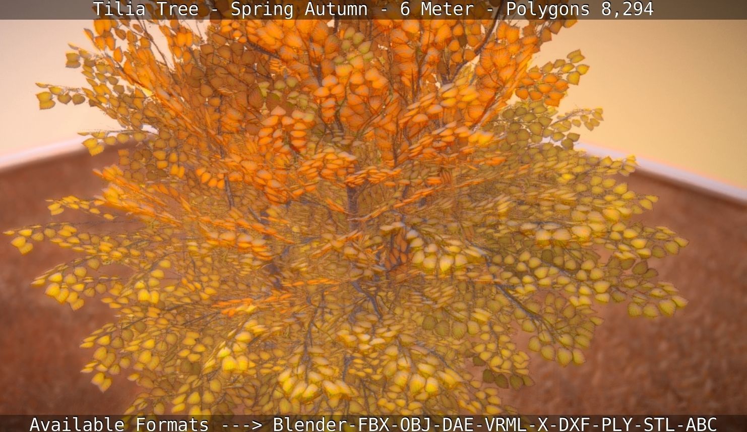 Tilia Tree - 6 Meter - Autumn  Low-poly 3D model_116