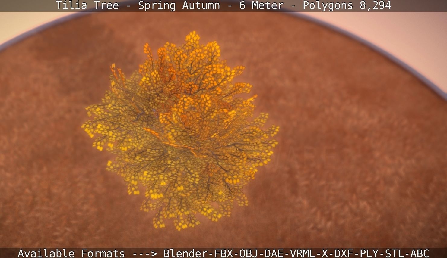 Tilia Tree - 6 Meter - Autumn  Low-poly 3D model_22