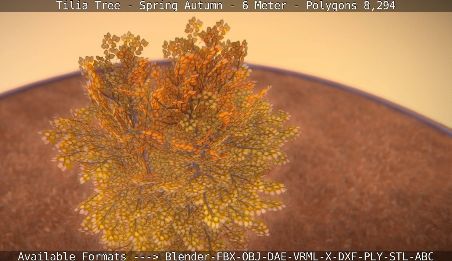 Tilia Tree - 6 Meter - Autumn  Low-poly 3D model_51