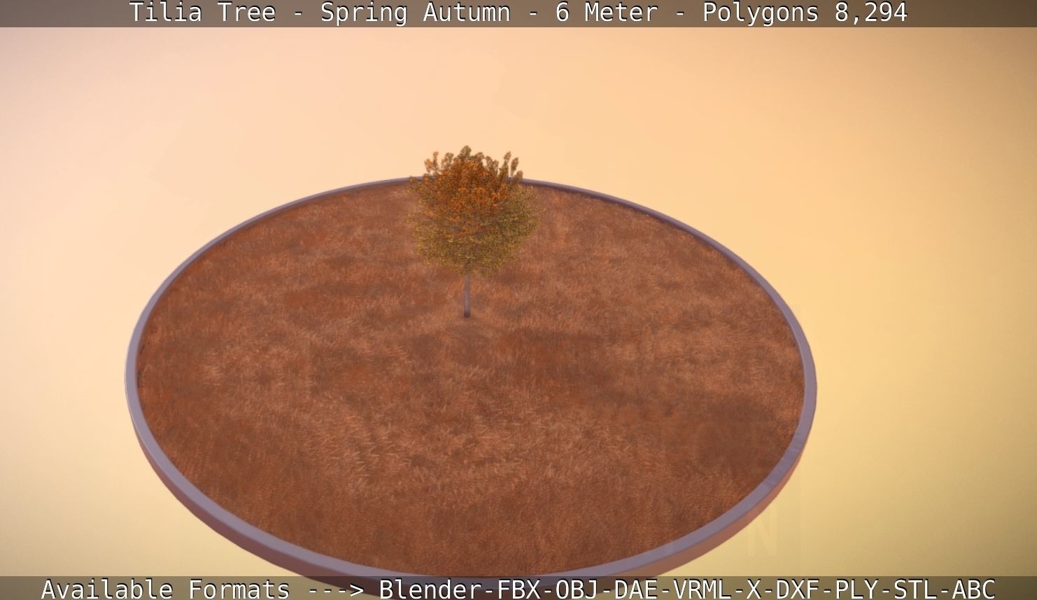 Tilia Tree - 6 Meter - Autumn  Low-poly 3D model_59