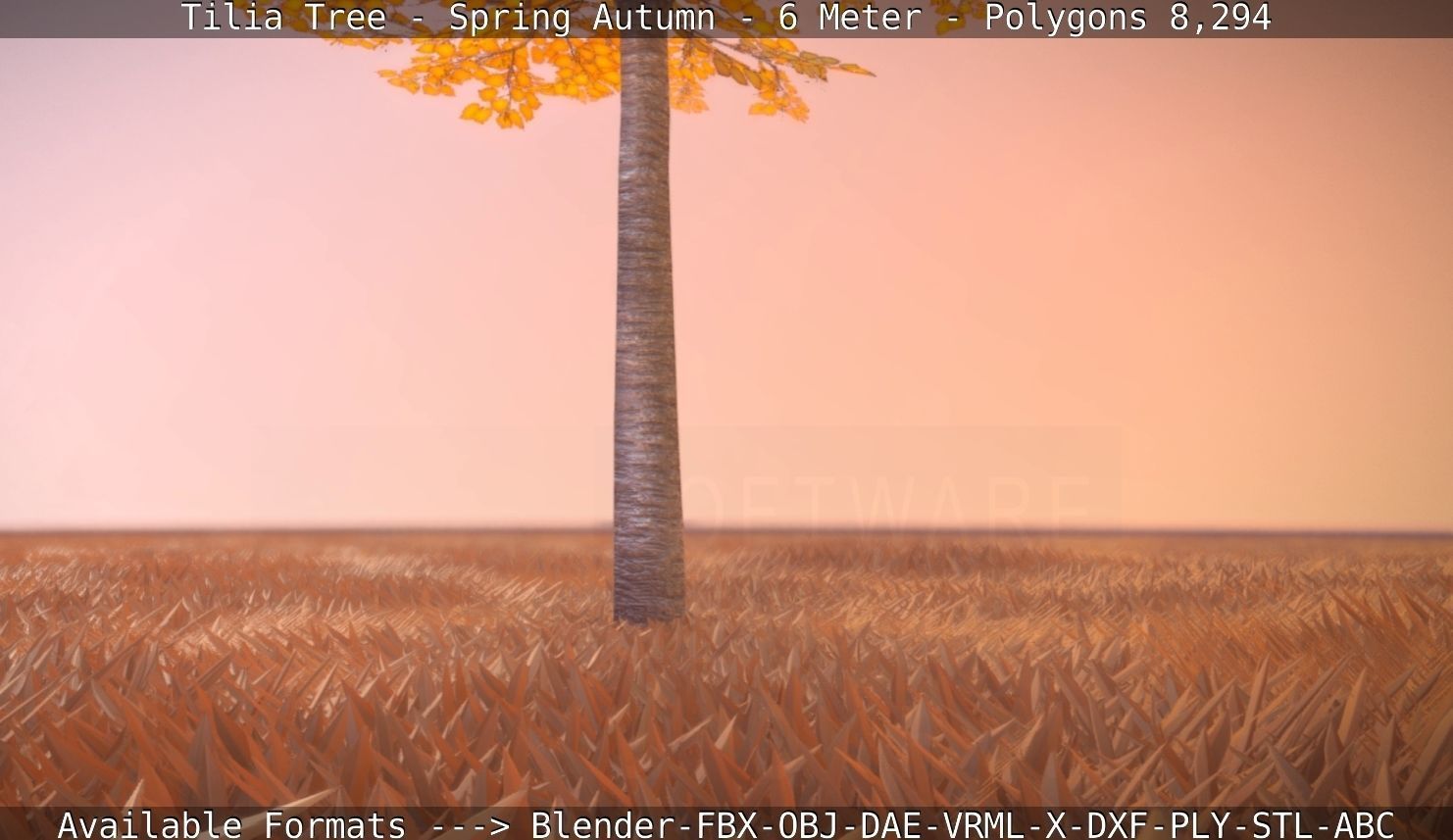 Tilia Tree - 6 Meter - Autumn  Low-poly 3D model_96