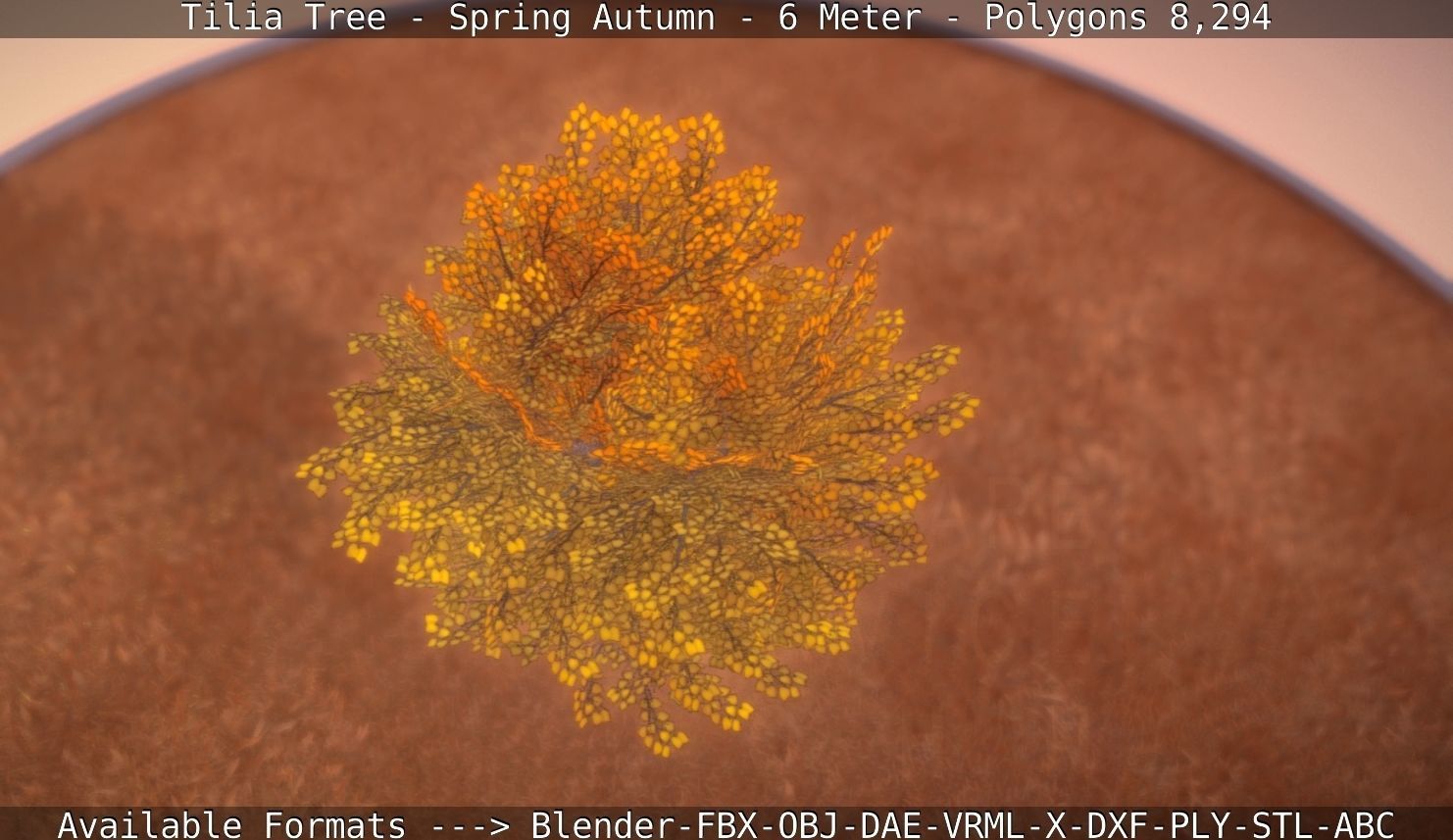 Tilia Tree - 6 Meter - Autumn  Low-poly 3D model_23