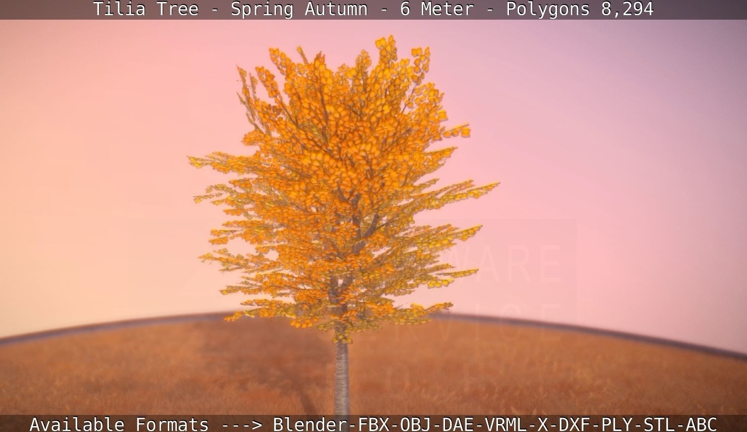 Tilia Tree - 6 Meter - Autumn  Low-poly 3D model_27