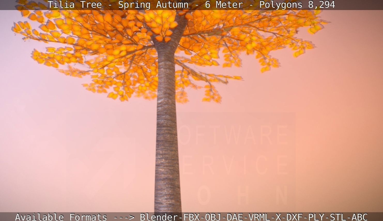 Tilia Tree - 6 Meter - Autumn  Low-poly 3D model_90