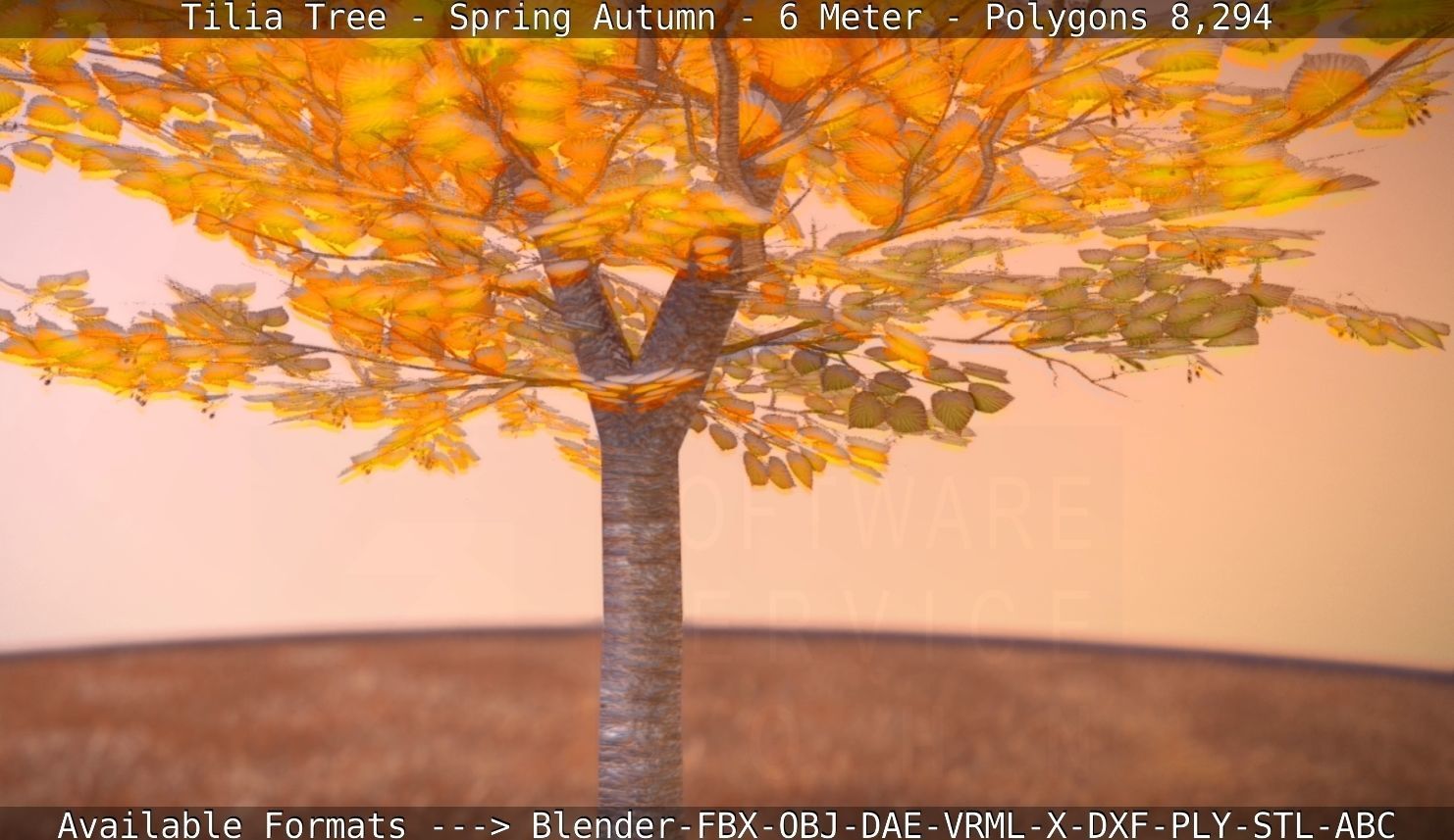 Tilia Tree - 6 Meter - Autumn  Low-poly 3D model_9