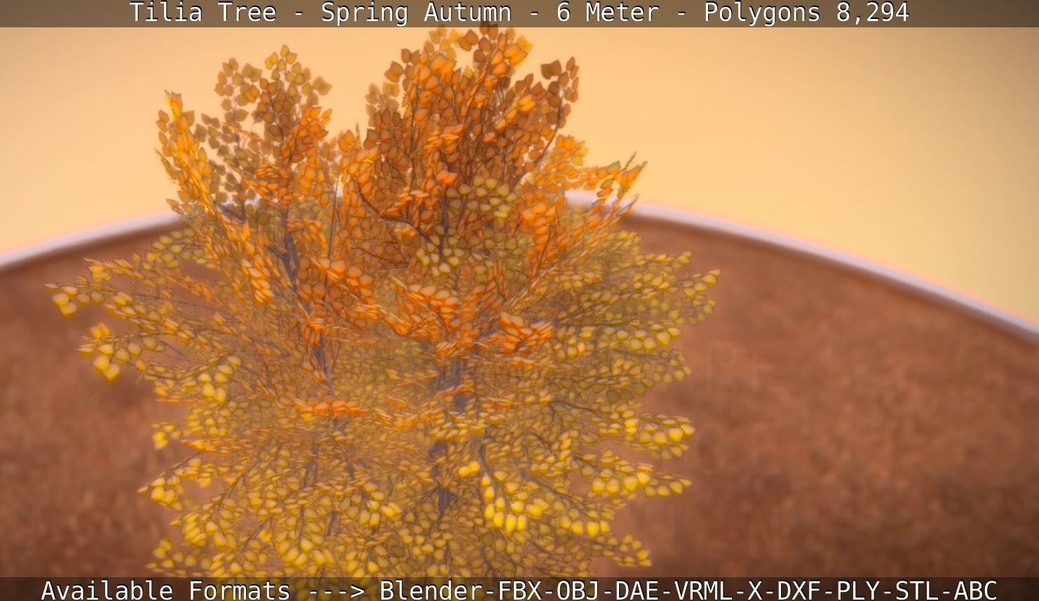 Tilia Tree - 6 Meter - Autumn  Low-poly 3D model_48