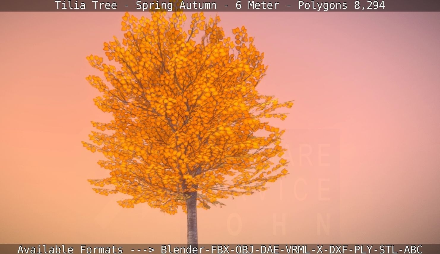 Tilia Tree - 6 Meter - Autumn  Low-poly 3D model_39