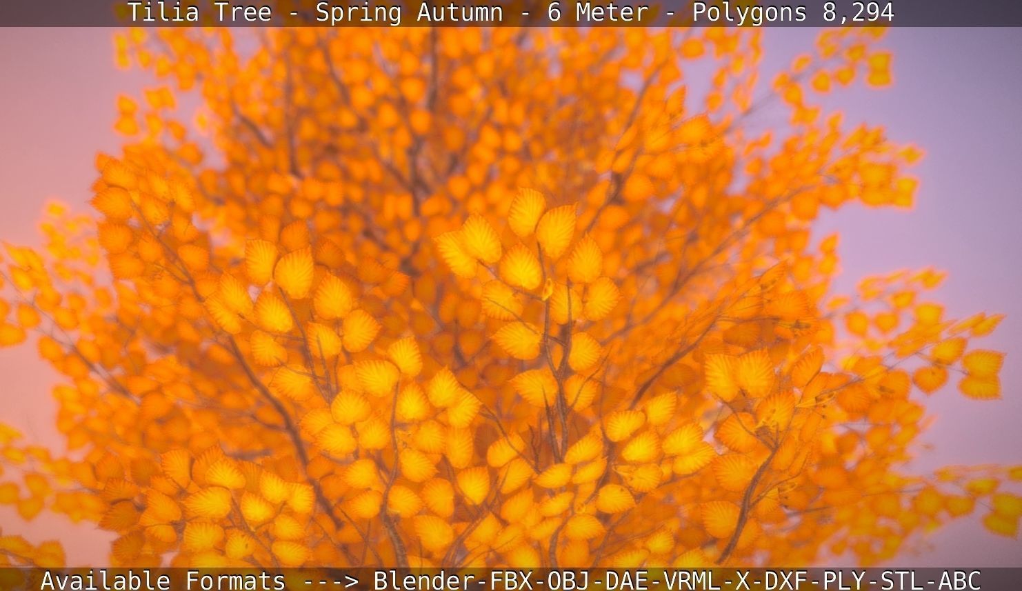 Tilia Tree - 6 Meter - Autumn  Low-poly 3D model_11