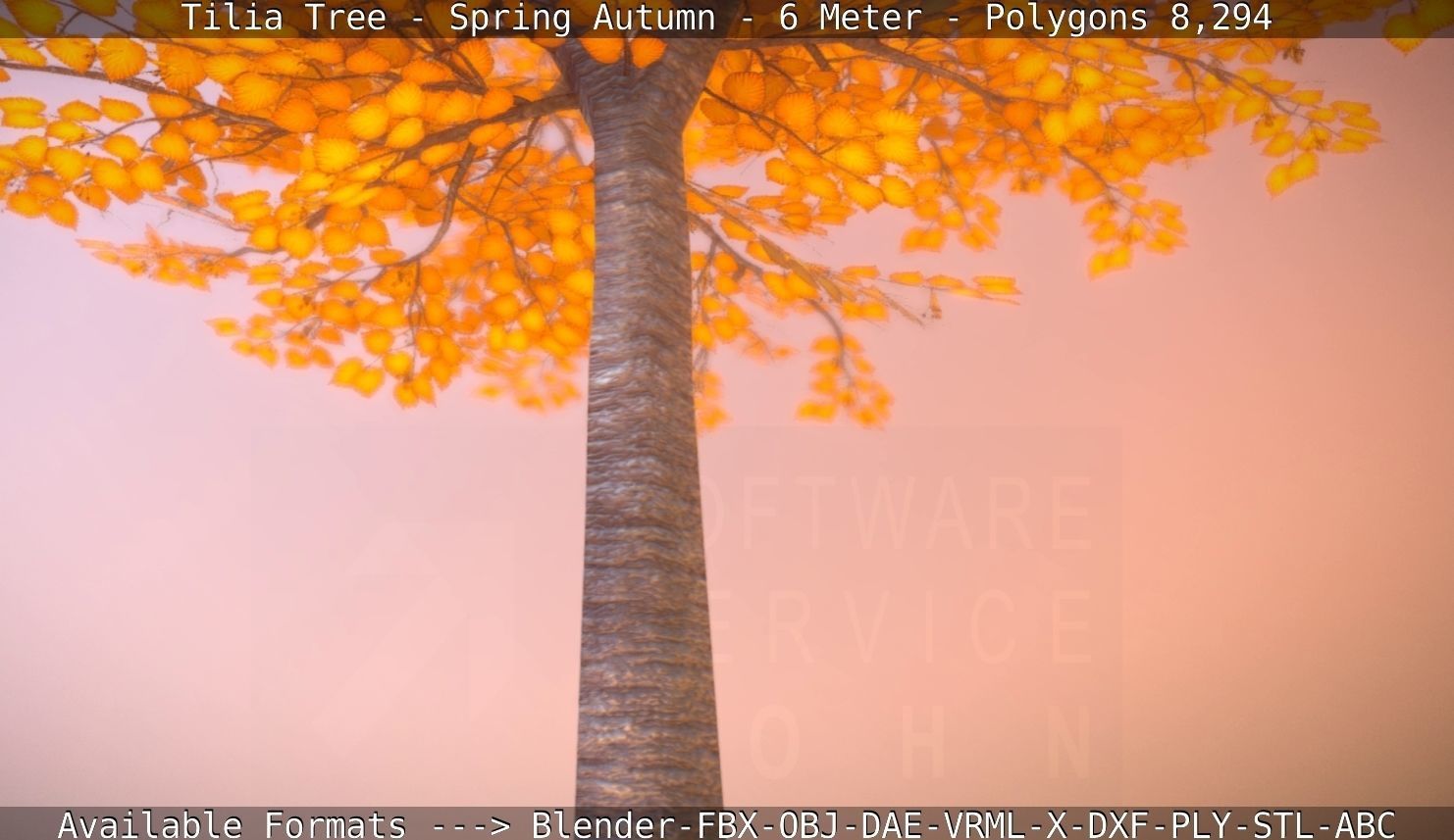 Tilia Tree - 6 Meter - Autumn  Low-poly 3D model_88