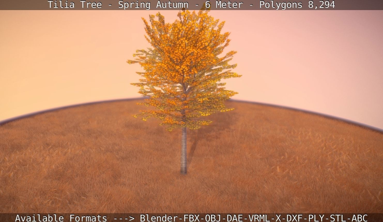 Tilia Tree - 6 Meter - Autumn  Low-poly 3D model_66