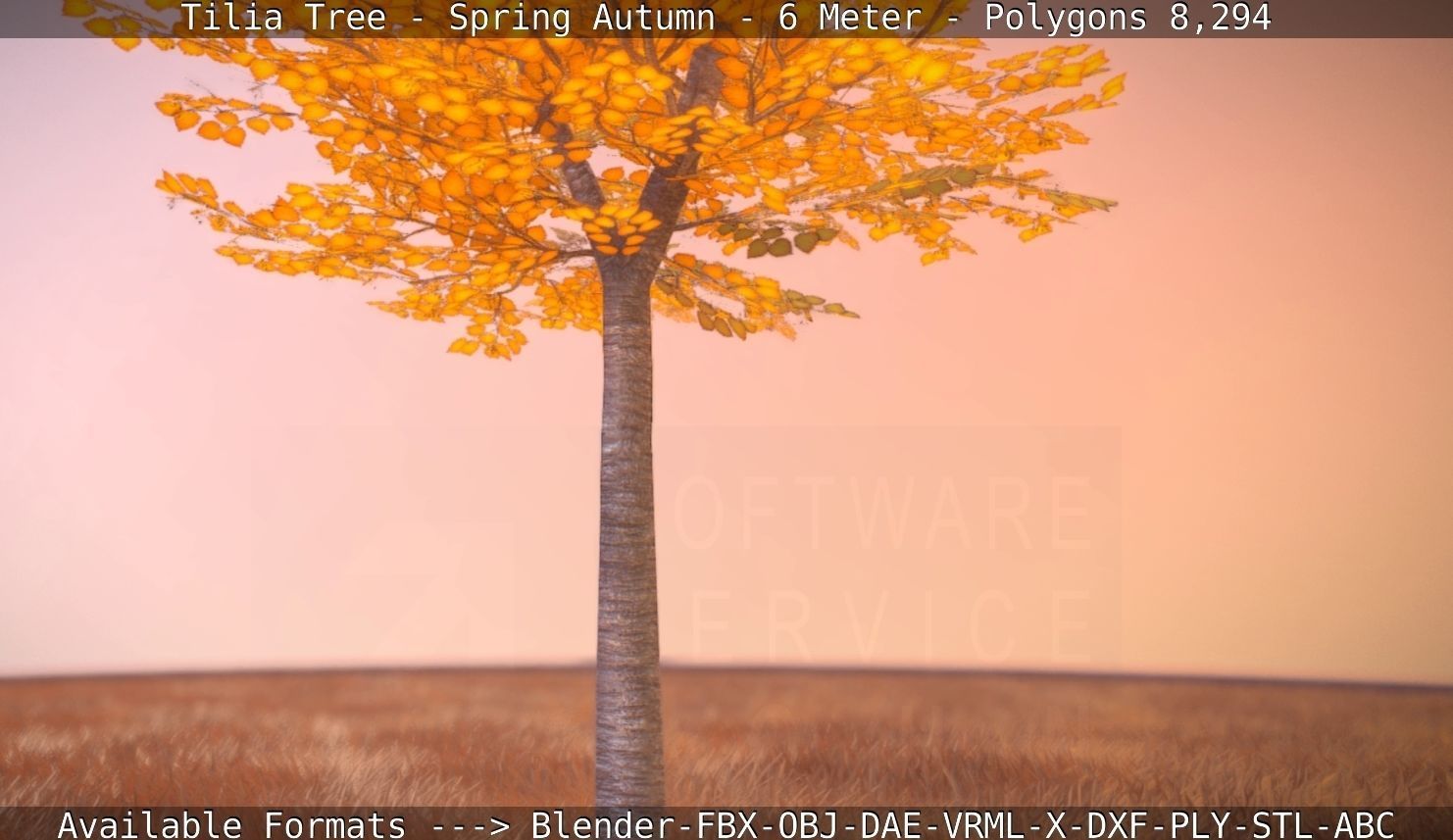 Tilia Tree - 6 Meter - Autumn  Low-poly 3D model_97