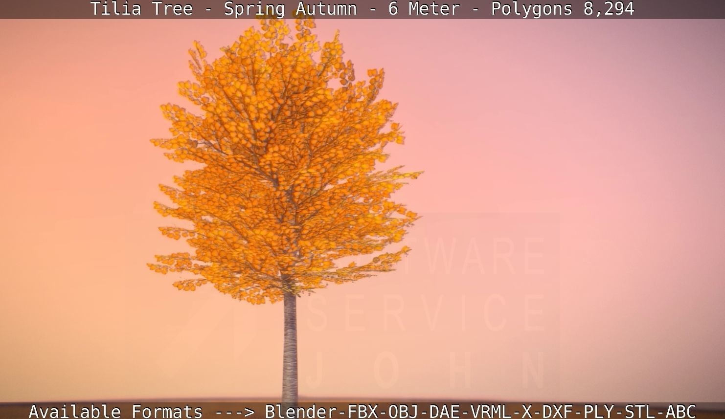 Tilia Tree - 6 Meter - Autumn  Low-poly 3D model_34