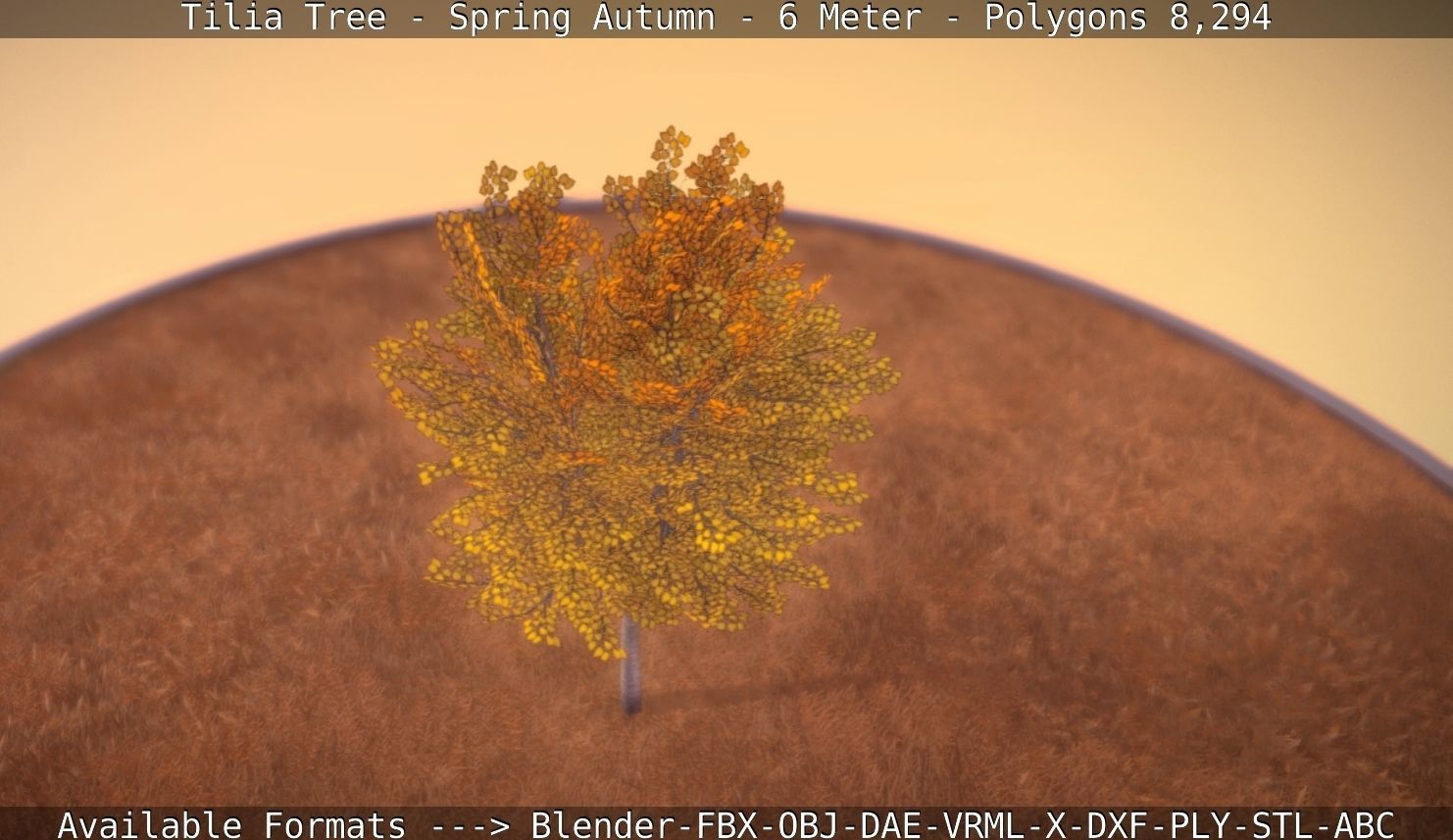 Tilia Tree - 6 Meter - Autumn  Low-poly 3D model_52