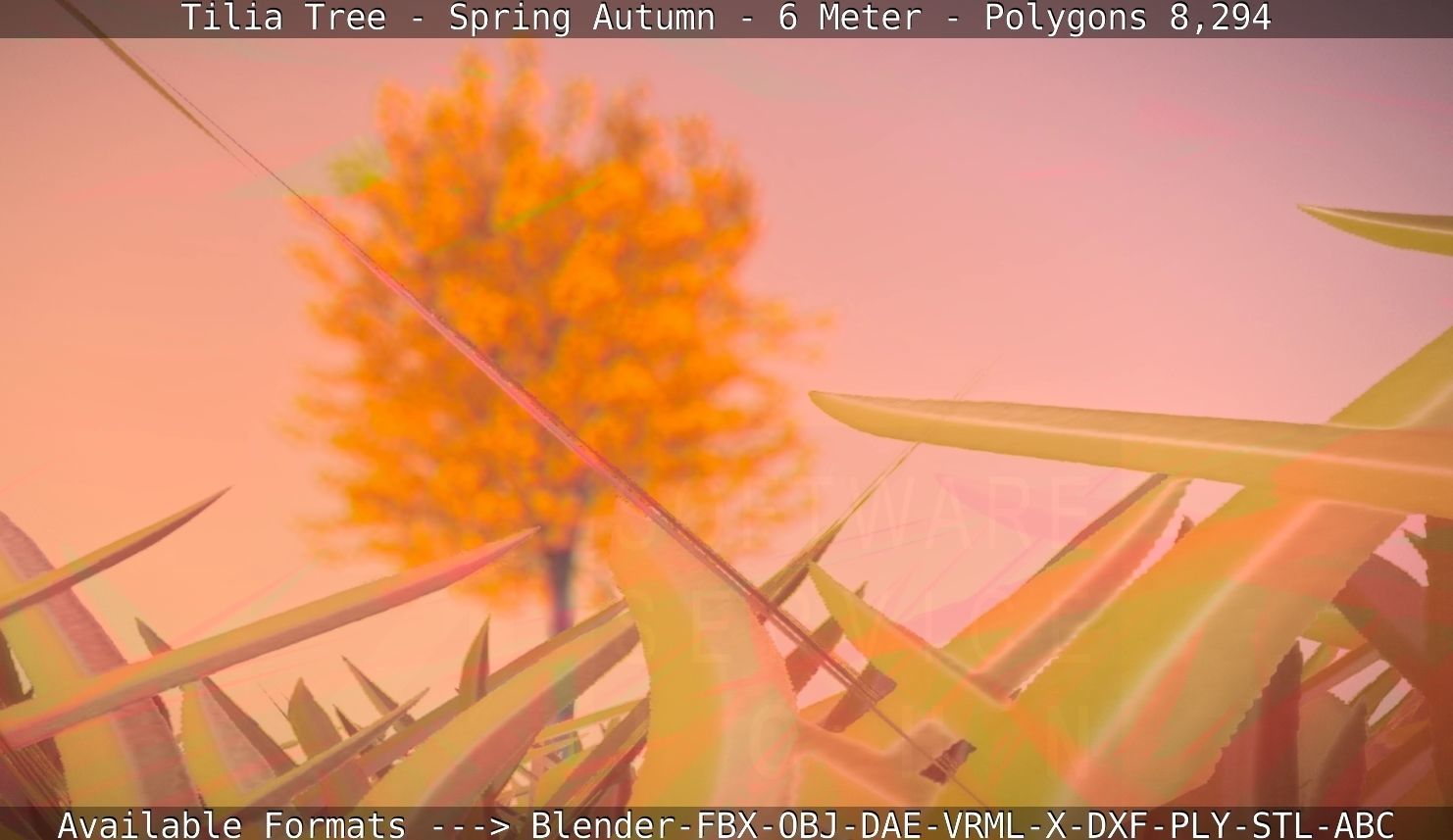 Tilia Tree - 6 Meter - Autumn  Low-poly 3D model_38