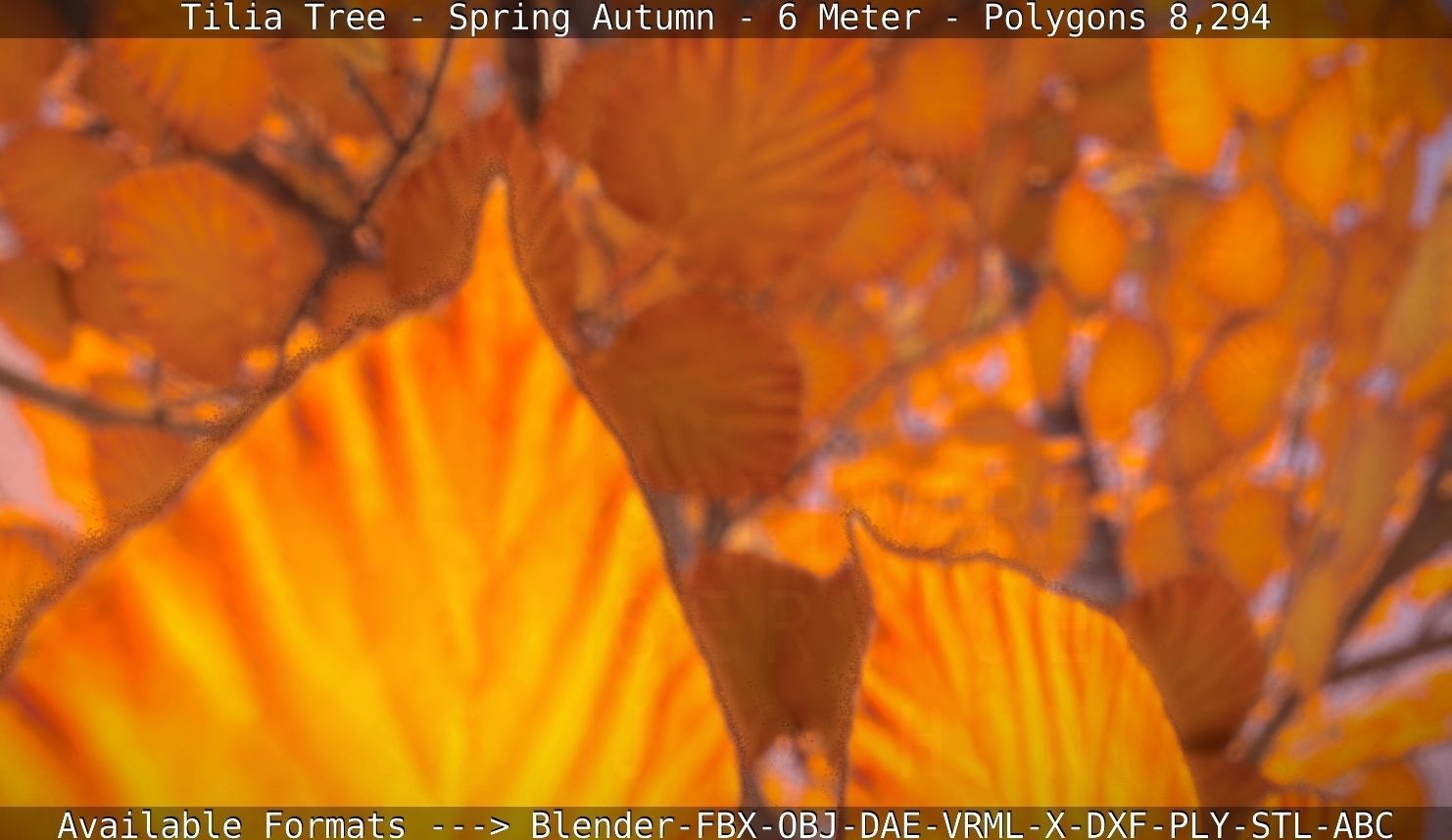 Tilia Tree - 6 Meter - Autumn  Low-poly 3D model_10