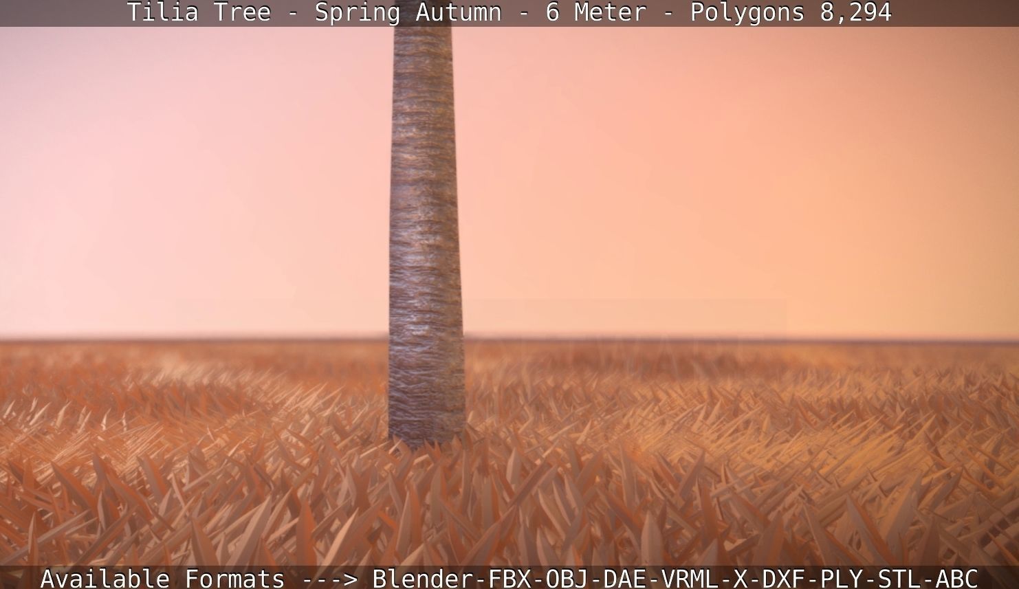 Tilia Tree - 6 Meter - Autumn  Low-poly 3D model_105