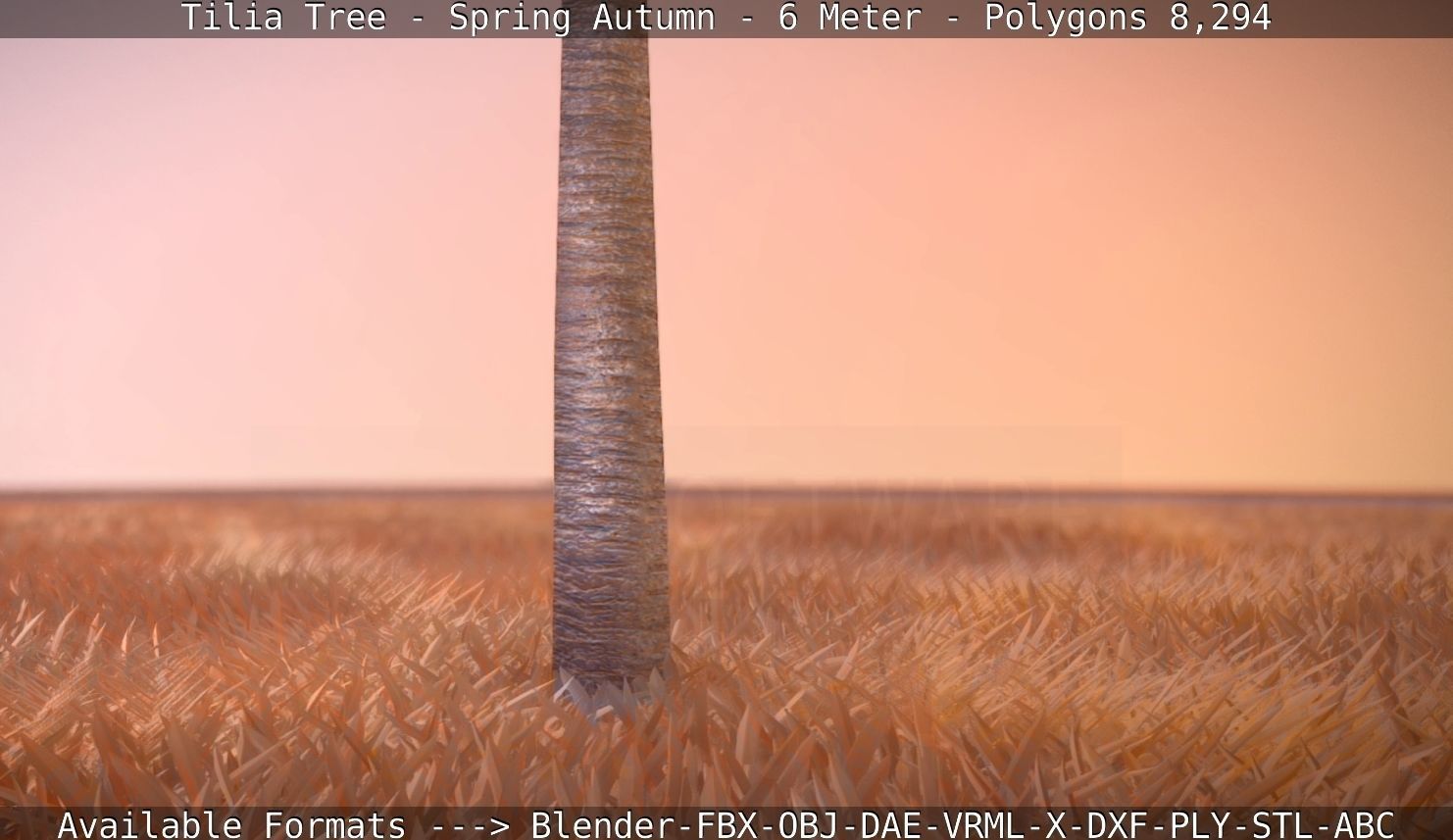 Tilia Tree - 6 Meter - Autumn  Low-poly 3D model_110