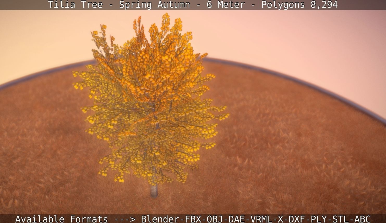 Tilia Tree - 6 Meter - Autumn  Low-poly 3D model_54