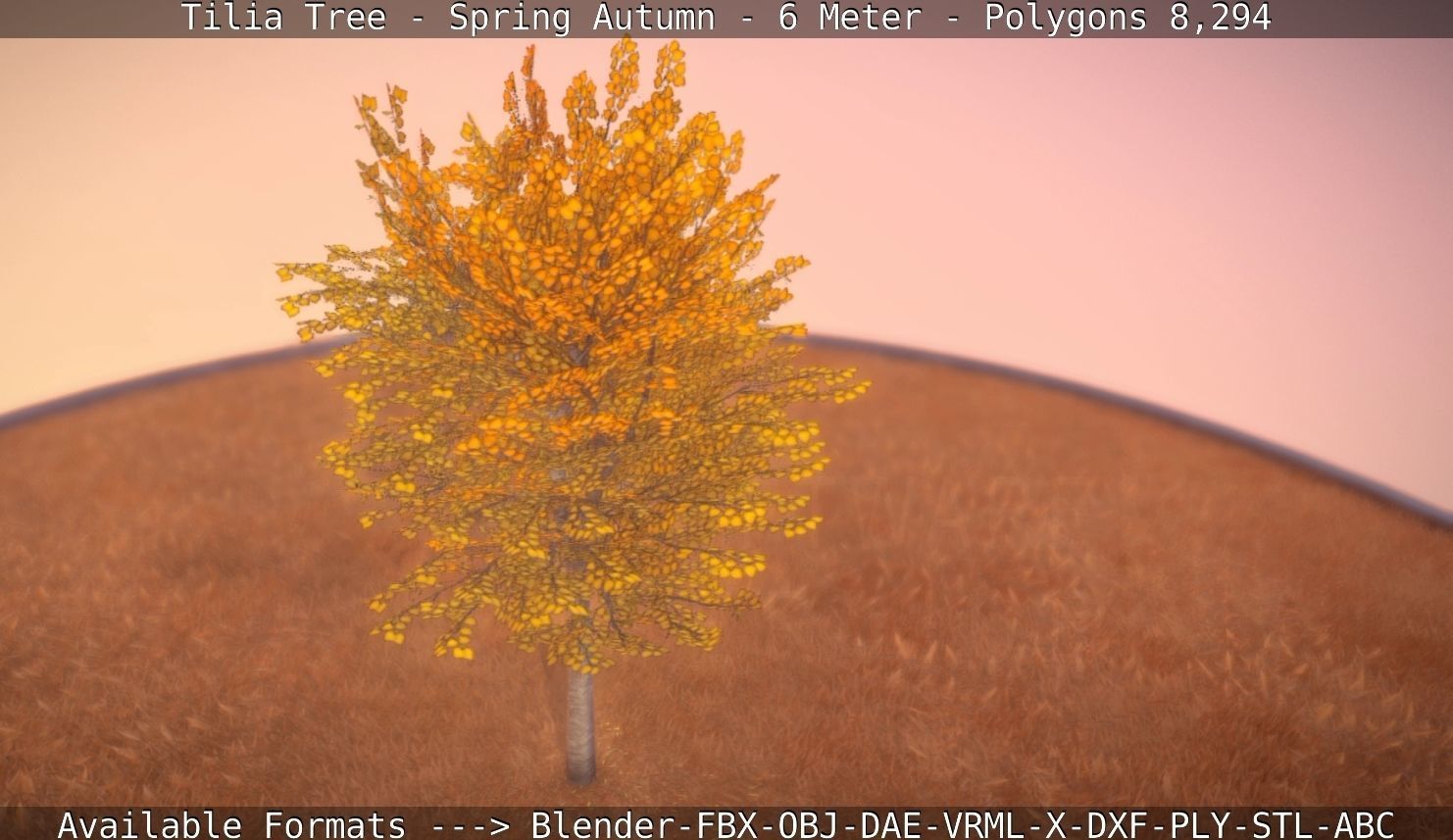 Tilia Tree - 6 Meter - Autumn  Low-poly 3D model_29