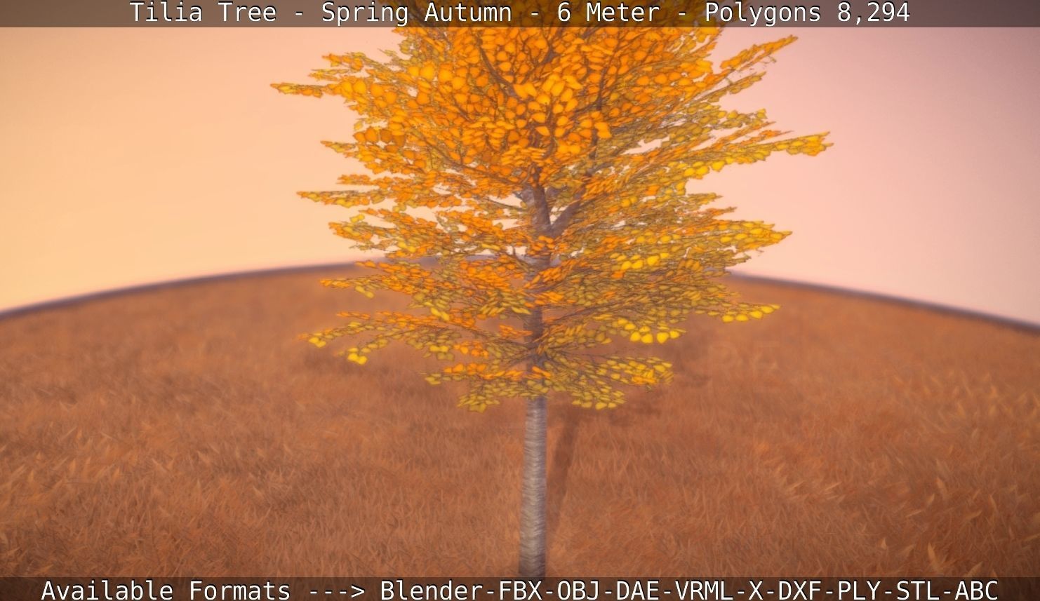 Tilia Tree - 6 Meter - Autumn  Low-poly 3D model_74