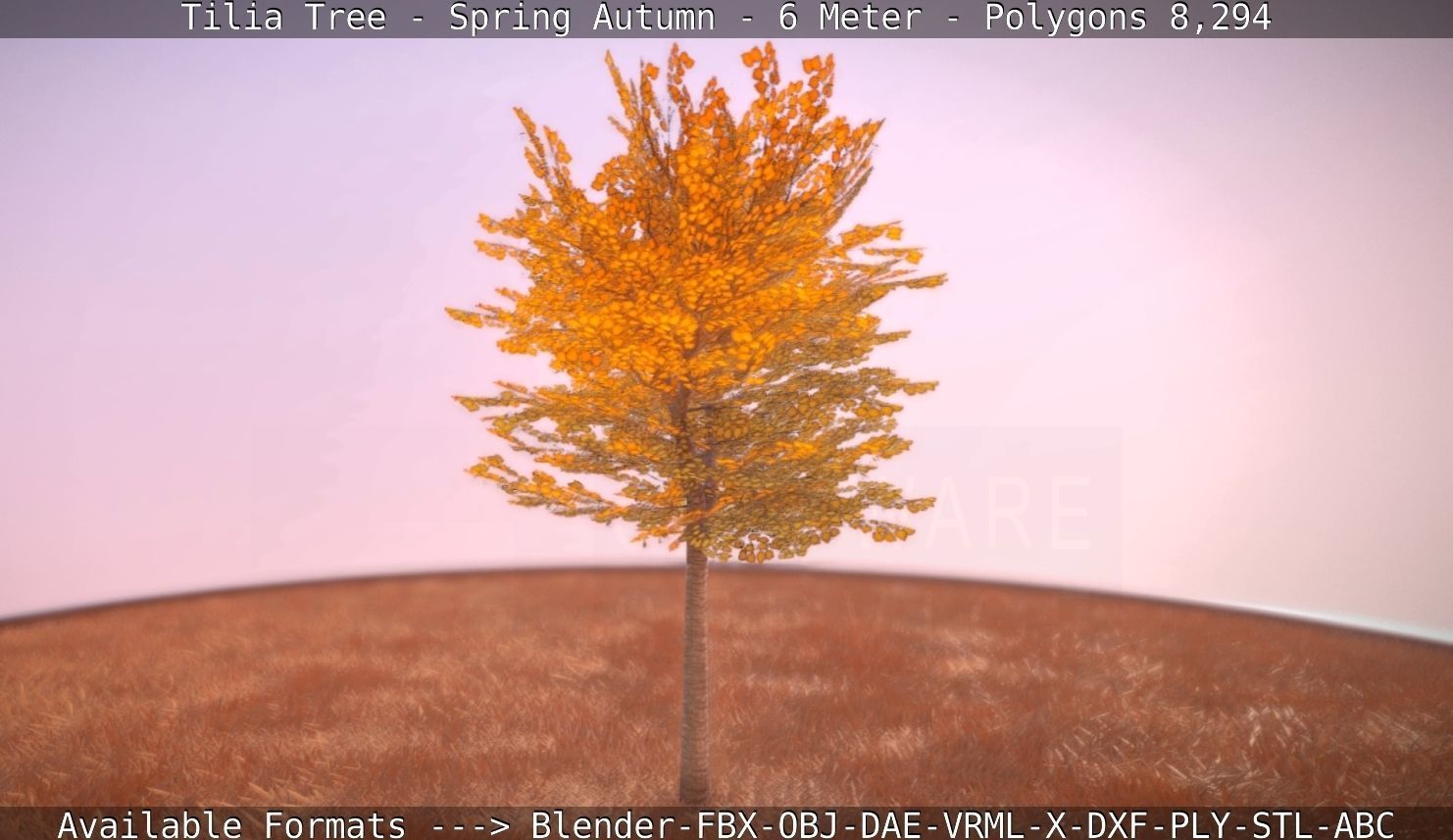 Tilia Tree - 6 Meter - Autumn  Low-poly 3D model_17