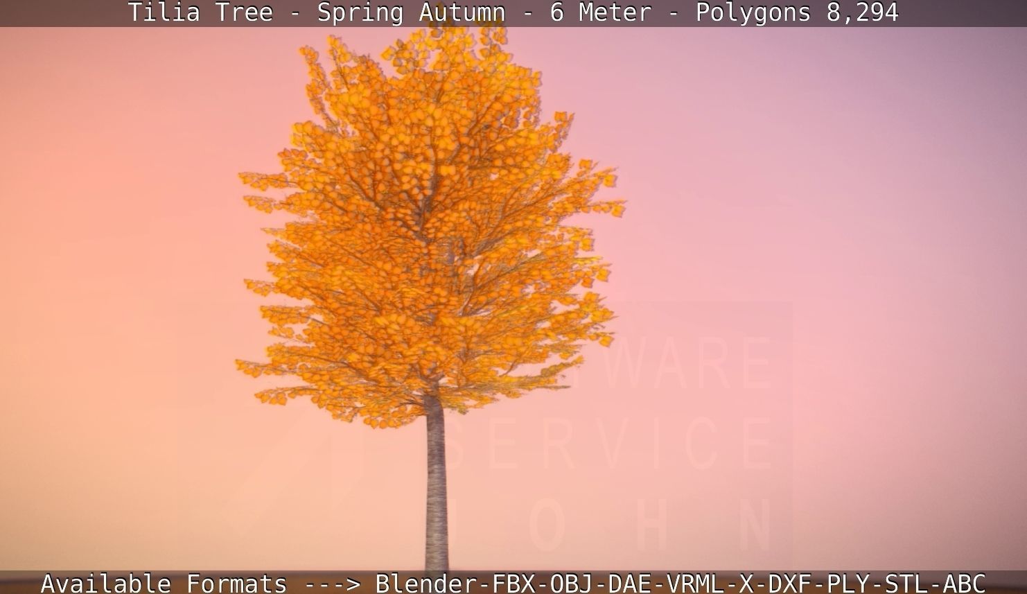 Tilia Tree - 6 Meter - Autumn  Low-poly 3D model_31